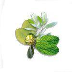 Camylle Voile de Sauna - Luxe - Finesse Wellness BV