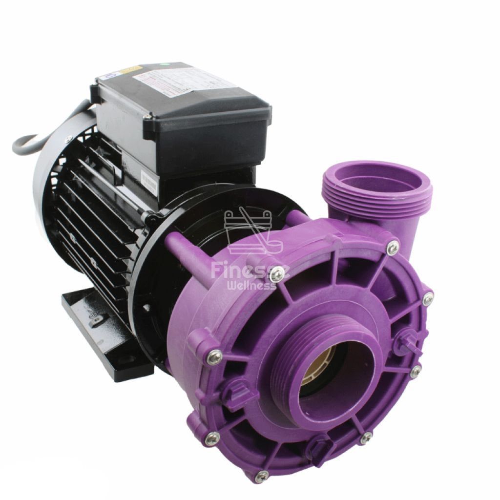 Vian OEM van LX LP200 Pump single speed 2.0HP -  - Part - ["Gratis Verzenden","Jetpomp","lx pomp","Onderdelen","pomp","sale"]