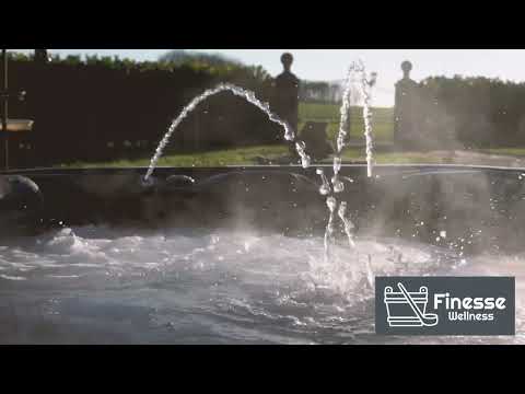 Platinum Spas Maximus